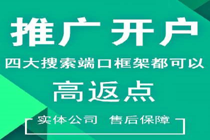 SEM服务托管：经典案例分析及优化策略